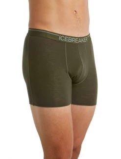 Icebreaker Mens Anatomica Boxers Loden