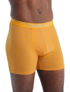 Icebreaker Mens Anatomica Boxers Electric