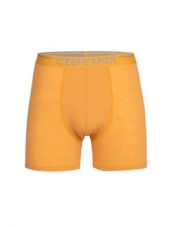 Icebreaker Mens Anatomica Boxers Electric