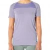 Icebreaker Wmns Motion Seamless SS Crewe Orchid Heather Womens