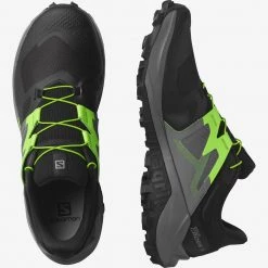 Salomon Wildcross 2 Black/Quiet Shade/Green Gecko
