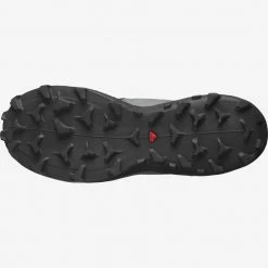 Salomon Wildcross 2 Black/Quiet Shade/Green Gecko