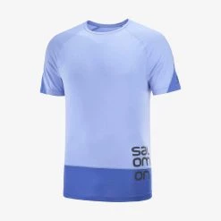 Salomon Cross Run Graphic Tee M Provence/Nautical Blue