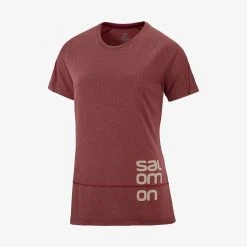 Womens Salomon Cross Run Graphic Tee W Cabernet/Heather