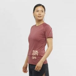 Womens Salomon Cross Run Graphic Tee W Cabernet/Heather