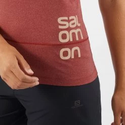 Womens Salomon Cross Run Graphic Tee W Cabernet/Heather