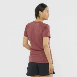 Womens Salomon Cross Run Graphic Tee W Cabernet/Heather