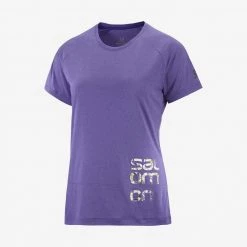 Salomon Cross Run Graphic Tee W Deep Blue/Heather