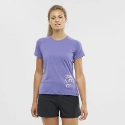 Salomon Cross Run Graphic Tee W Deep Blue/Heather