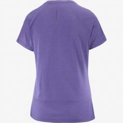 Salomon Cross Run Graphic Tee W Deep Blue/Heather