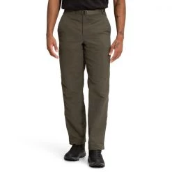 The North Face Mens Paramount Trail Pants New Taupe Green