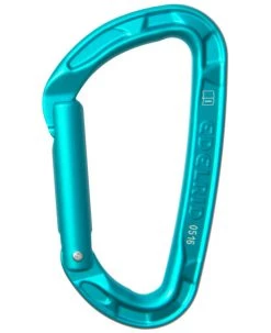 Climb/Canyon Edelrid Pure Straight Icemint